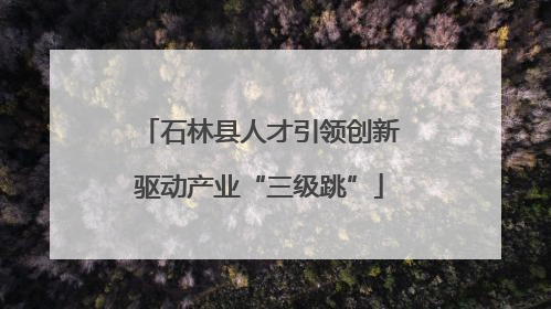 石林县人才引领创新驱动产业“三级跳”