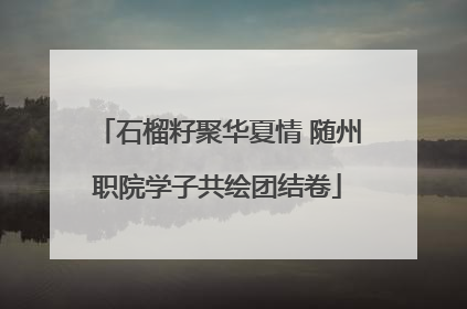 石榴籽聚华夏情 随州职院学子共绘团结卷