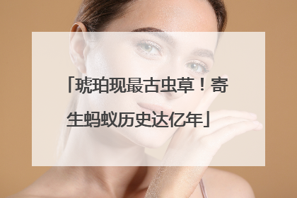 琥珀现最古虫草！寄生蚂蚁历史达亿年
