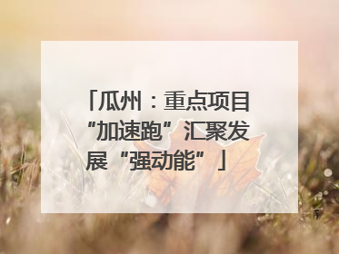 瓜州：重点项目“加速跑”汇聚发展“强动能”