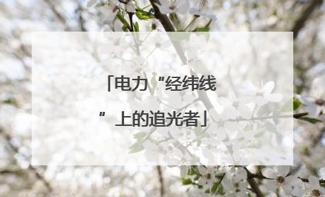 电力“经纬线”上的追光者