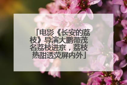 电影《长安的荔枝》导演大鹏带茂名荔枝进京，荔枝热甜透荧屏内外