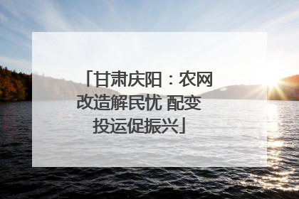 甘肃庆阳：农网改造解民忧 配变投运促振兴