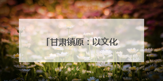 甘肃镇原：以文化之笔 绘发展之景