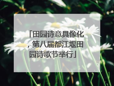 田园诗意具像化，第八届都江堰田园诗歌节举行