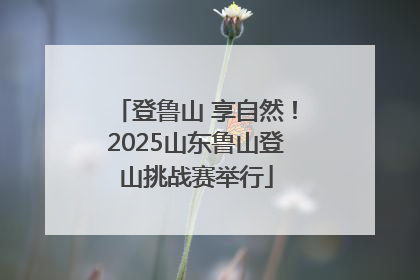 登鲁山 享自然！2025山东鲁山登山挑战赛举行