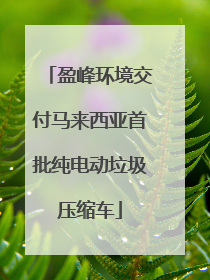 盈峰环境交付马来西亚首批纯电动垃圾压缩车