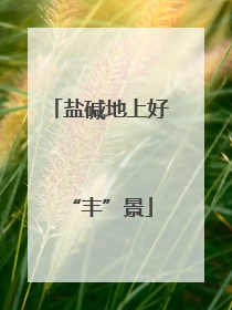 盐碱地上好“丰”景