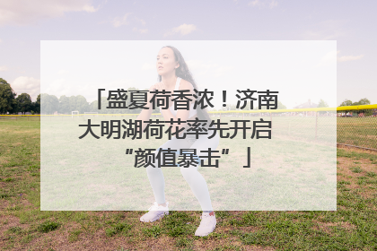 盛夏荷香浓！济南大明湖荷花率先开启“颜值暴击”