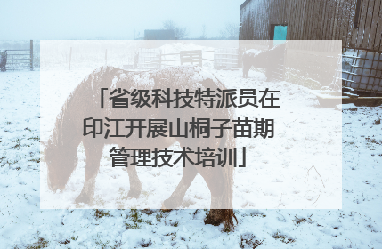 省级科技特派员在印江开展山桐子苗期管理技术培训