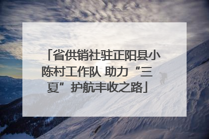 省供销社驻正阳县小陈村工作队 助力“三夏”护航丰收之路