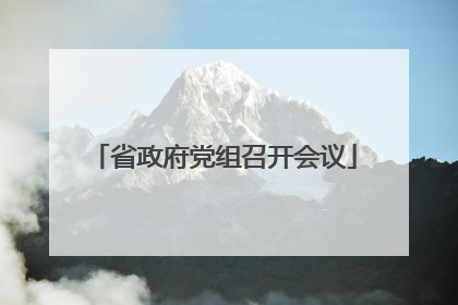 省政府党组召开会议