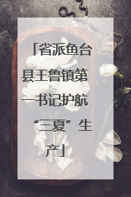 省派鱼台县王鲁镇第一书记护航“三夏”生产