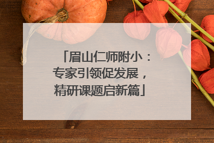 眉山仁师附小：专家引领促发展，精研课题启新篇