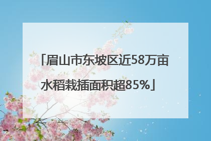 眉山市东坡区近58万亩水稻栽插面积超85%