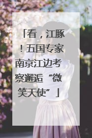 看，江豚！五国专家南京江边考察邂逅“微笑天使”