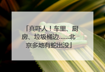 真吓人！车里、厨房、垃圾桶边……北京多地有蛇出没