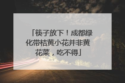 筷子放下！成都绿化带桔黄小花并非黄花菜，吃不得