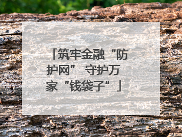 筑牢金融“防护网” 守护万家“钱袋子”