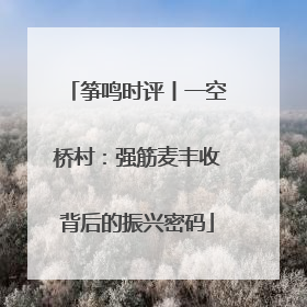 筝鸣时评丨一空桥村：强筋麦丰收背后的振兴密码