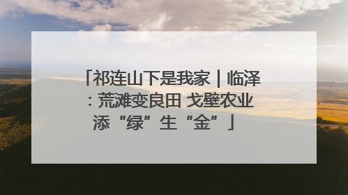 祁连山下是我家｜临泽：荒滩变良田 戈壁农业添“绿”生“金”