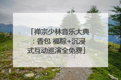 禅宗少林音乐大典：香包 福粽+沉浸式互动巡演全免费