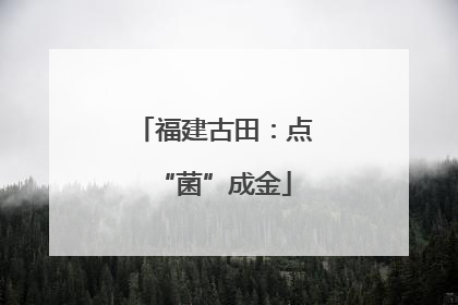 福建古田：点“菌”成金