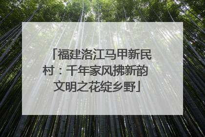 福建洛江马甲新民村：千年家风拂新韵 文明之花绽乡野