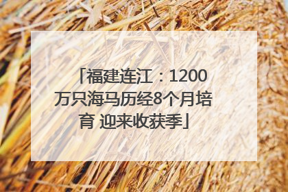 福建连江：1200万只海马历经8个月培育 迎来收获季