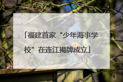 福建首家“少年海事学校”在连江揭牌成立