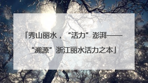 秀山丽水，“活力”澎湃——“溯源”浙江丽水活力之本