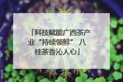 科技赋能广西茶产业“持续领鲜” 八桂茶香沁人心