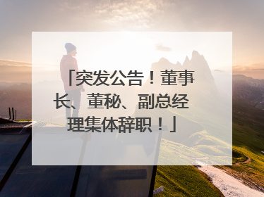 突发公告！董事长、董秘、副总经理集体辞职！