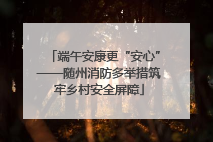 端午安康更“安心”——随州消防多举措筑牢乡村安全屏障