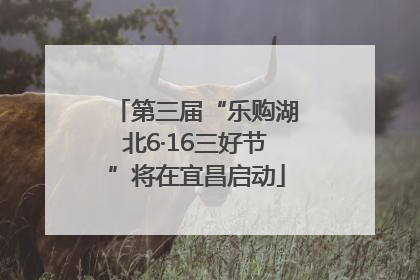 第三届“乐购湖北6·16三好节”将在宜昌启动