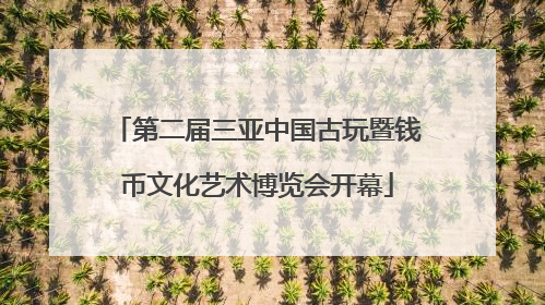第二届三亚中国古玩暨钱币文化艺术博览会开幕