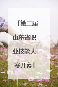 第二届山东省职业技能大赛开幕