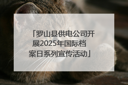罗山县供电公司开展2025年国际档案日系列宣传活动