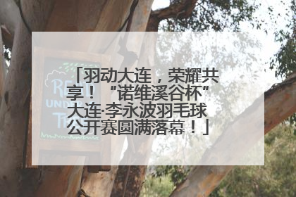 羽动大连，荣耀共享！“诺维溪谷杯”大连·李永波羽毛球公开赛圆满落幕！