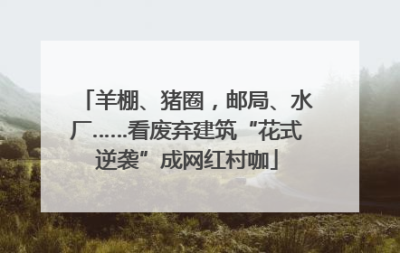 羊棚、猪圈，邮局、水厂……看废弃建筑“花式逆袭”成网红村咖