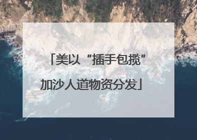 美以“插手包揽”加沙人道物资分发