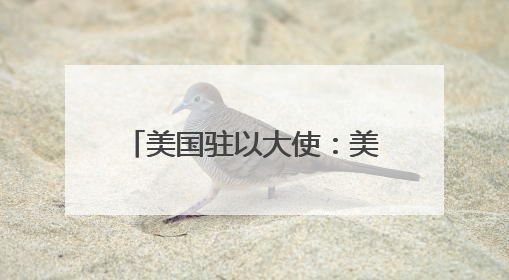 美国驻以大使：美国不再“全力”支持巴勒斯坦建国