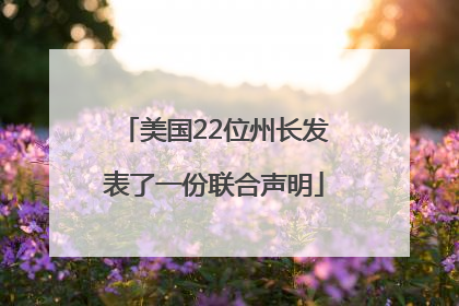 美国22位州长发表了一份联合声明