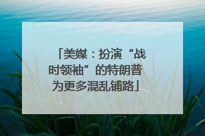 美媒：扮演“战时领袖”的特朗普为更多混乱铺路