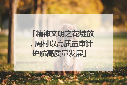 精神文明之花绽放，周村以高质量审计护航高质量发展
