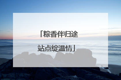 粽香伴归途 站点绽温情