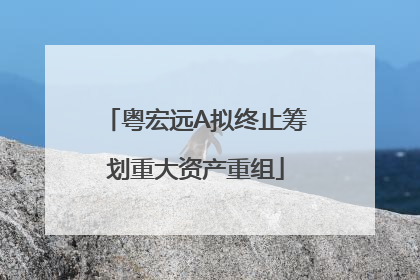 粤宏远A拟终止筹划重大资产重组