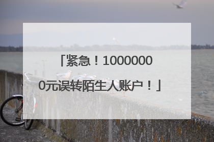 紧急！10000000元误转陌生人账户！