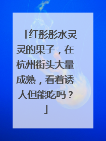 红彤彤水灵灵的果子，在杭州街头大量成熟，看着诱人但能吃吗？