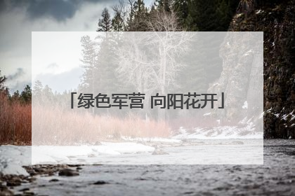 绿色军营 向阳花开